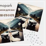 Ваш Святковий кортеж в Ужгороді - тел.0677809017