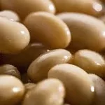 Закупівля квасолі для переробки та консервування