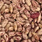 Продаж квасолі. Купити квасолю. Квасоля в наявності