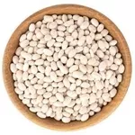 Куплю квасолю великий, дрібний опт.