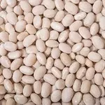 Продаємо насіння квасолі з гарантією викупу врожаю