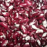 Сортова квасоля високої якості оптом з доставкою по Україні