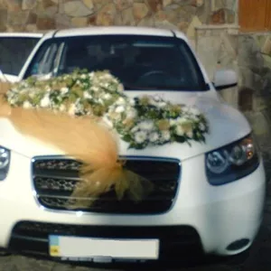 автомобиль на свадьбу Закарпатье