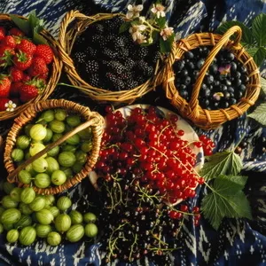 Продажа ягод,  овощей,  фруктов.Оптом и в розницу.Доставка по Украине