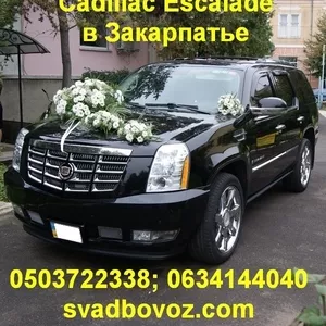 VIP перевозки по территории Закарпатской области