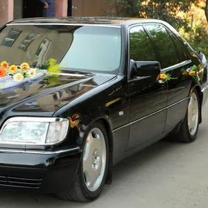 Обслуживание свадеб автомобилем в Ужгороде