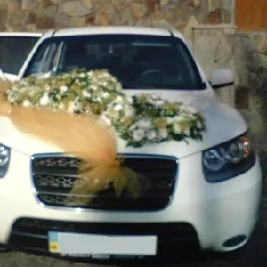 прокат автомобиля на свадьбу