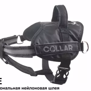 Продам Шлею нейлоновую для собак - Collar (Коллар) - Police