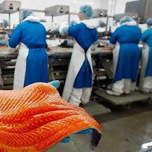 На работу в Польшу нужны упаковщики рыбного филе