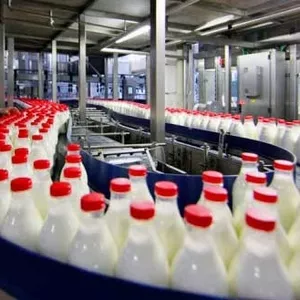 Рабочие на Молокозавод в Польшу