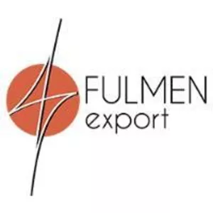 Fulmen Export - авто из США