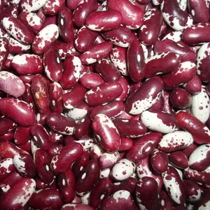 Сортова квасоля високої якості оптом з доставкою по Україні