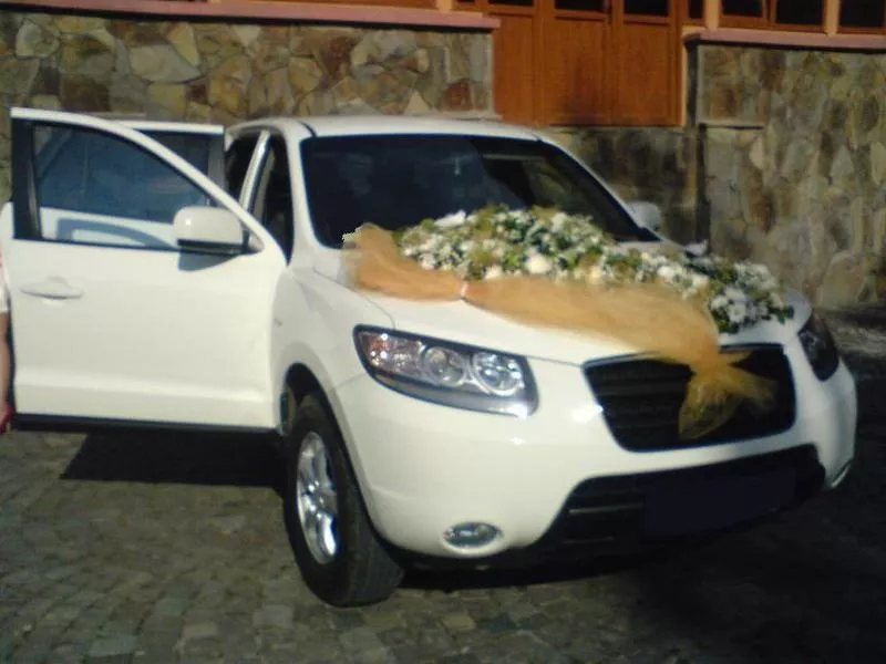 автомобиль на свадьбу Закарпатье 5