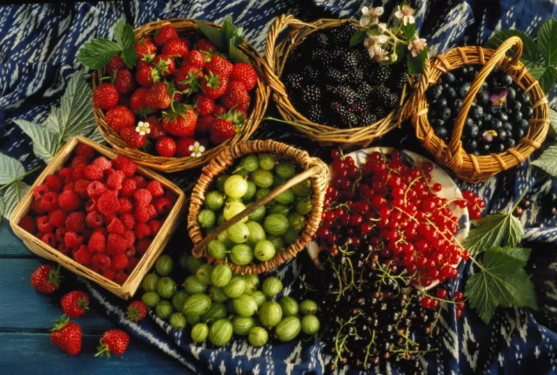 Продажа ягод,  овощей,  фруктов.Оптом и в розницу.Доставка по Украине