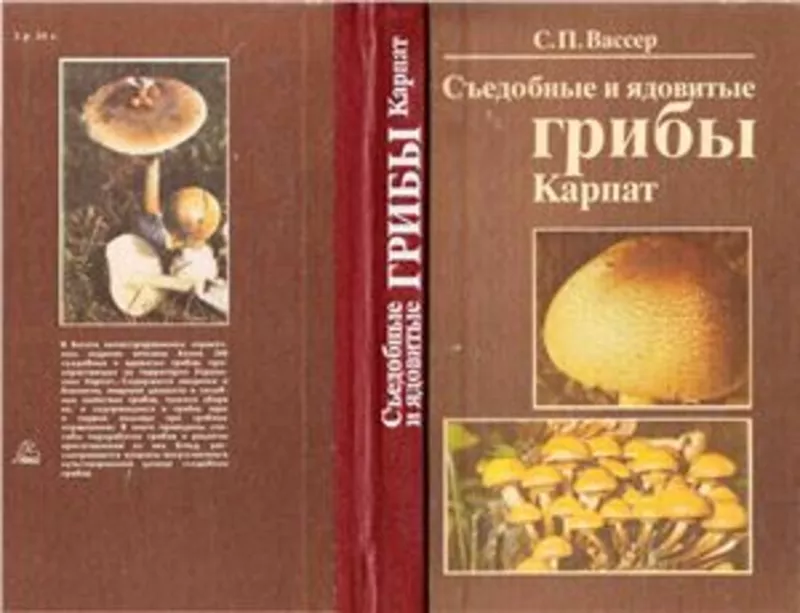 Справочник.Съедобные и ядовитые грибы Карпат 4
