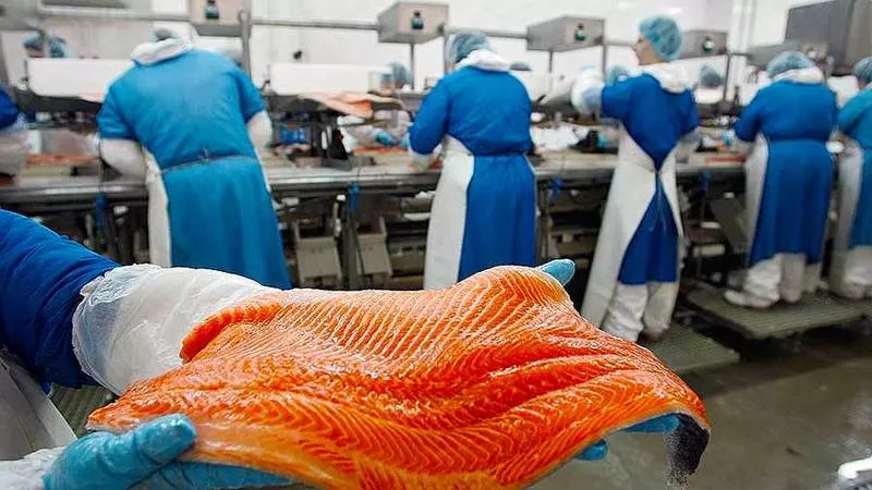  На работу в Польшу нужны упаковщики рыбного филе