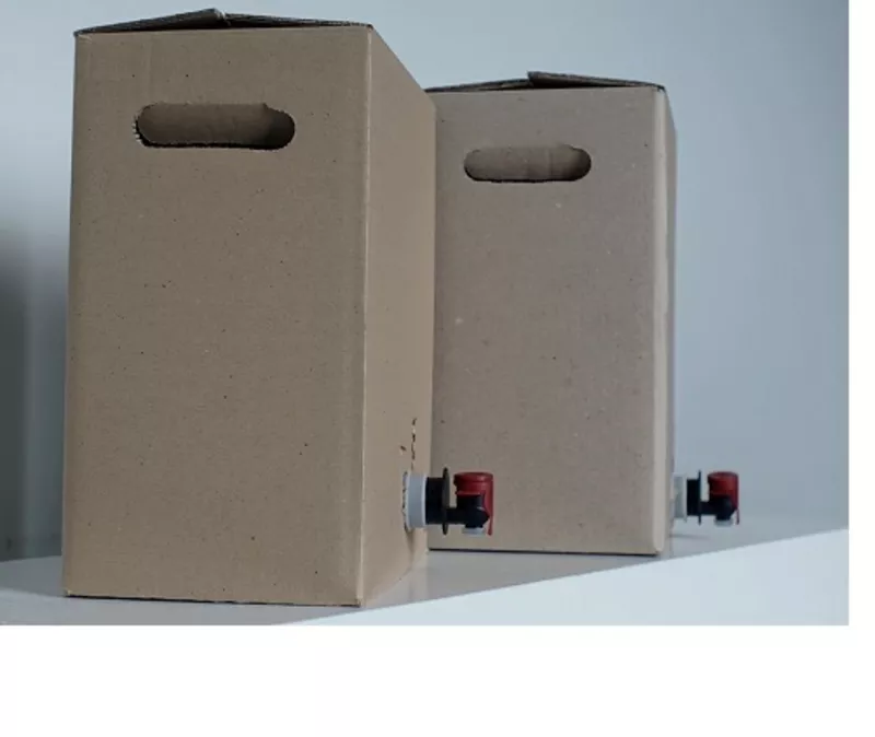 Коробка Винница 10 литров Bag in box 2