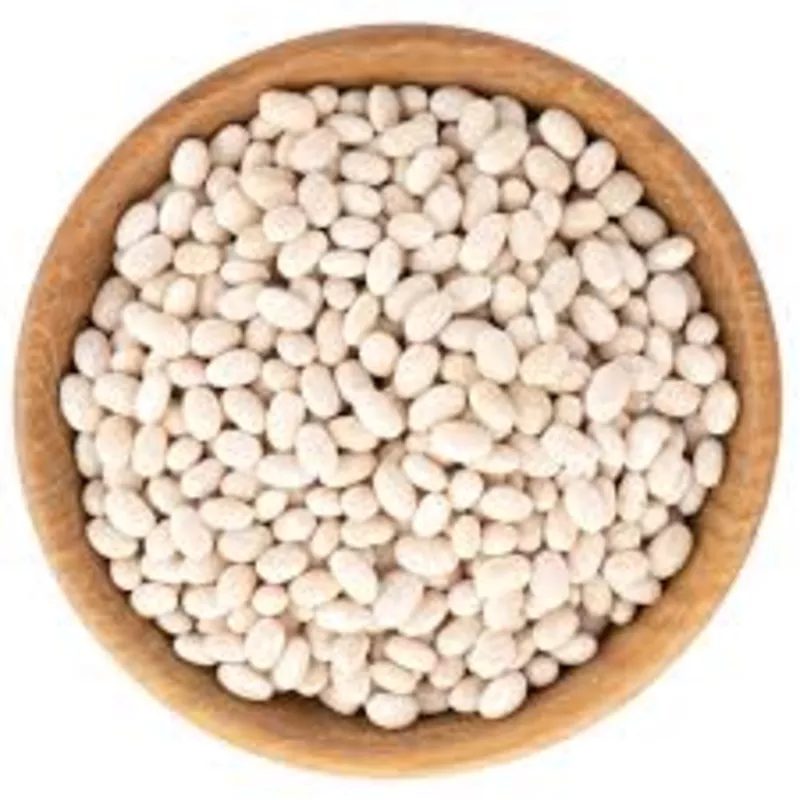 Куплю квасолю великий, дрібний опт.