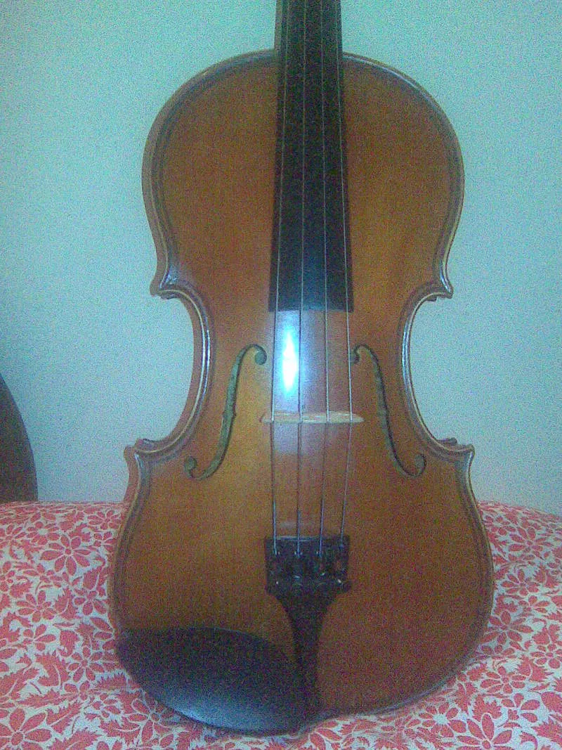  мастеровая  скрипка                                                   2